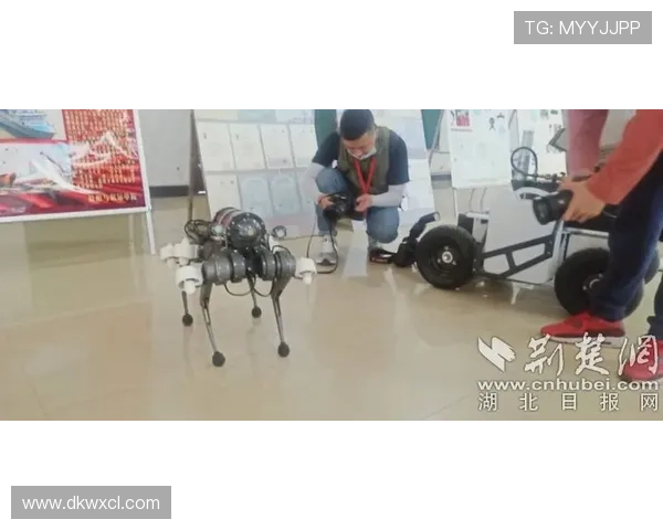 足球比赛直播运营专员的职业发展与技能提升全攻略 足球比赛直播运营专员的职业发展与技能提升全攻略
